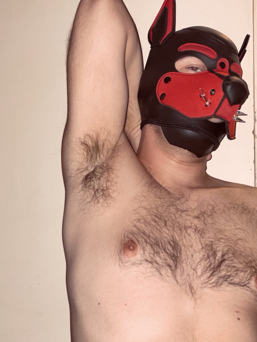 pupretch's tweet photo. sniff sniff 😈 

#gaypup #pits #hairy #hairypits #smelly #sweaty https://t.co/p1jQmfWboc