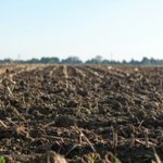 Photo by TopKrop Fertilizers (@TopkropInc)