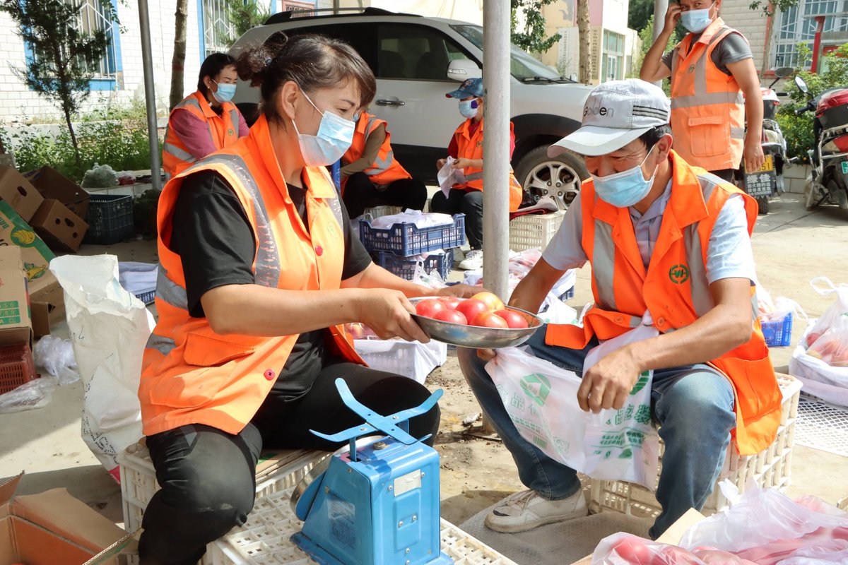 Chisholmbr9's tweet photo. Hoy he ayudado en el banco de alimentos de la ciudad — juntos distribuimos 500 paquetes de comida a familias necesitadas. Me lleno de energía al ver sus sonrisas.  #Voluntariado #AyudaMutua， https://t.co/t9BRAnps0C