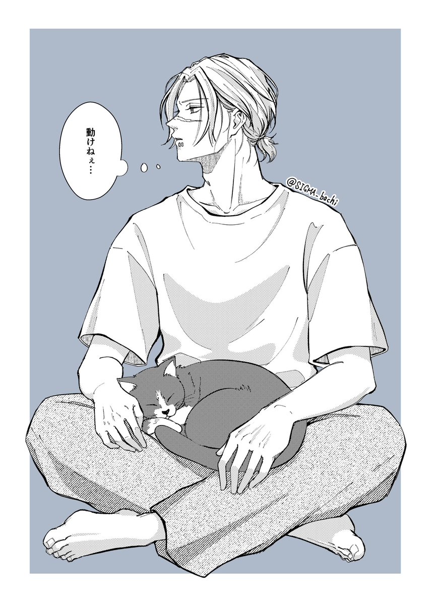 SIGMA_bachi's tweet photo. 兄弟共に猫に好かれそう🐱 https://t.co/l0pvQpaEsz