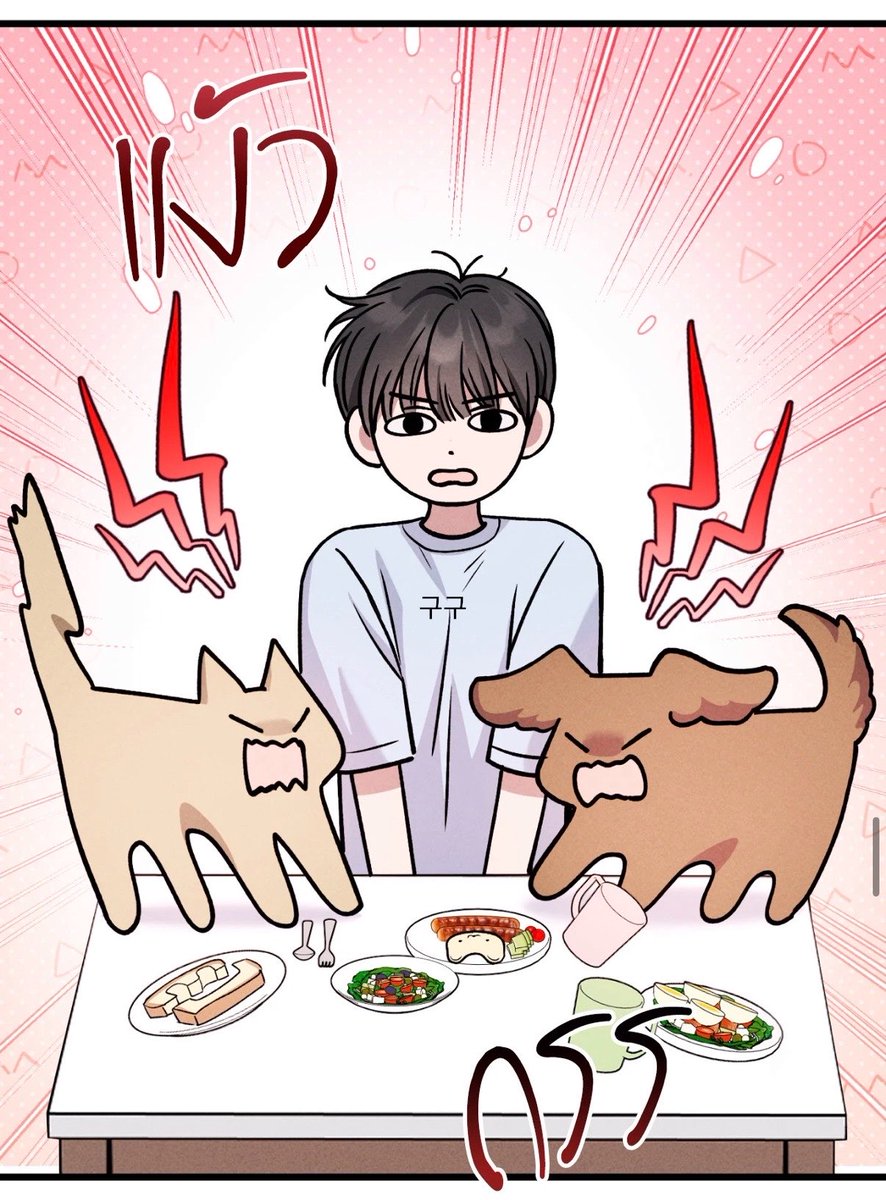 siyrcl's tweet photo. คาร์ชัดมาก แมวม๋าตีกันแย่งตุ่ยสุดๆ https://t.co/EwiJYPWTtq