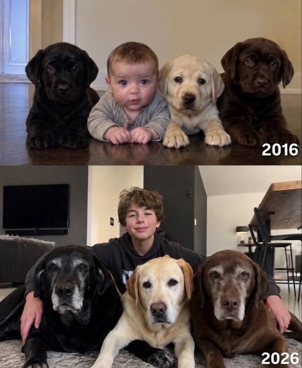 siyahsancakx's tweet photo. 🔵 Üç köpeğiyle birlikte büyüyen bir genç, 10 yıl arayla aynı pozu verdi. https://t.co/CO7aazHiGZ