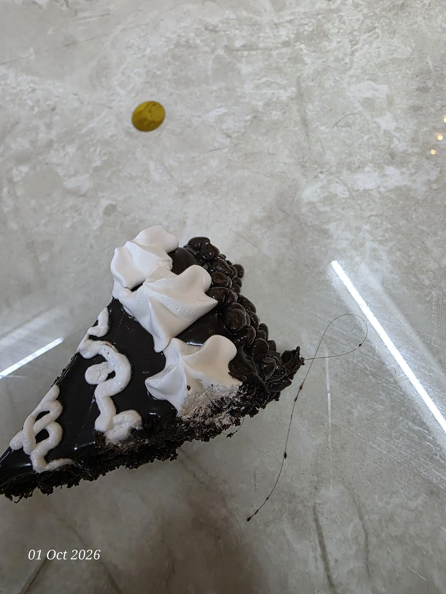aarushpal123's tweet photo. @SwiggyCares Big hair along with multiple small hairs in a cake order. This is not acceptable. https://t.co/Qo2CXRlzfz