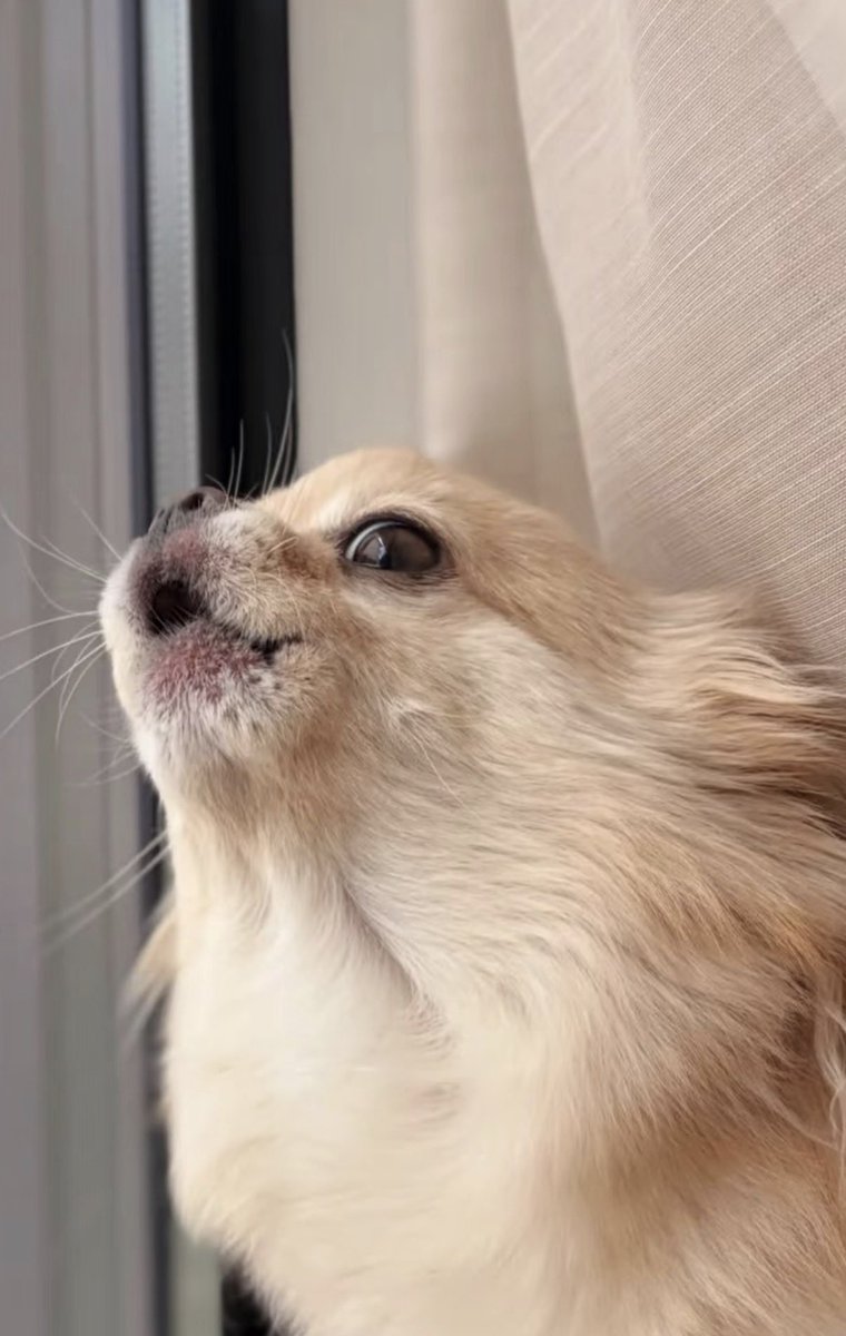 twaniimals's tweet photo. https://t.co/3wkJvtN1gQ