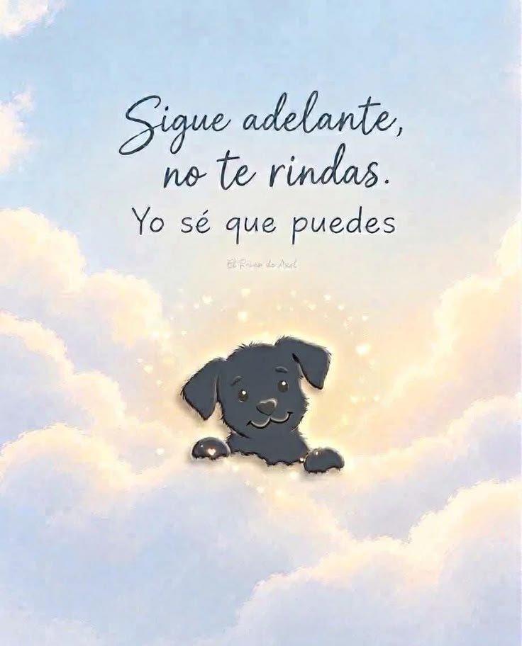 rey_latino33087's tweet photo. https://t.co/278MEs6yZ5