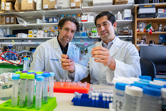 UTSWMedCenter's tweet photo. A decades-old enzyme mystery, solved: #UTSW postdoc Victor López, Ph.D., and colleagues identified DOLK and TMEM19 as missing kinases in the polyisoprenyl salvage pathway. The discovery earned him the Brown-Goldstein Award and opens new research questions. https://t.co/VFC3D6rsZ3 https://t.co/OFIYUUYcqv