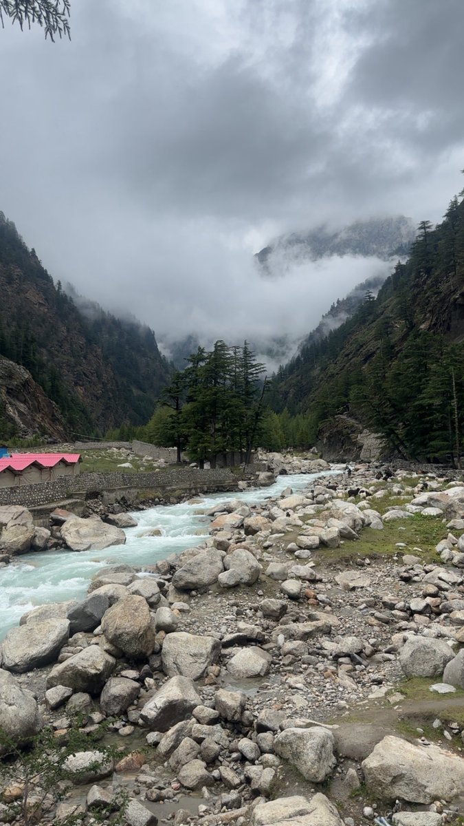 Shivanshhhhh_'s tweet photo. What can be more beautiful than this? https://t.co/g0sQiWHT8x