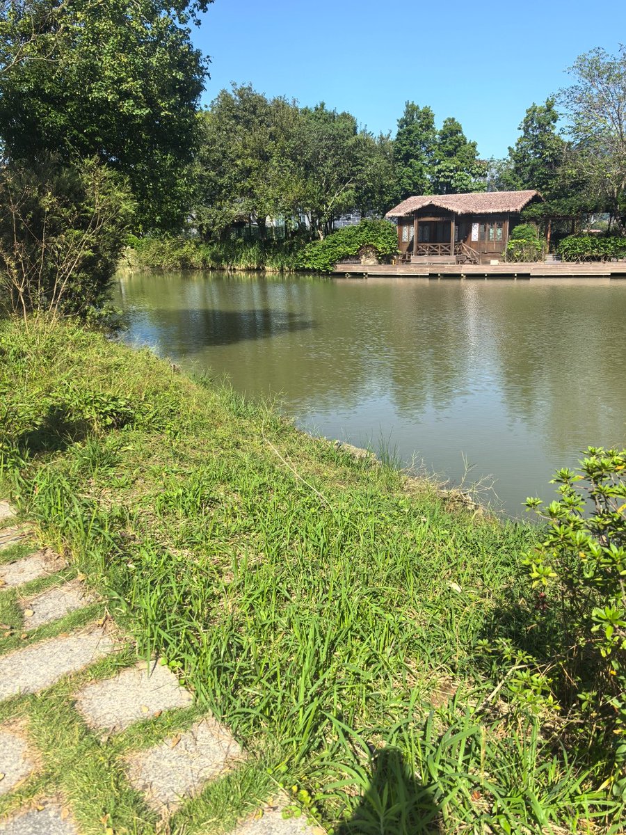 Shelly40's tweet photo. Hoy caminé 5 km por el Parque del Lago, disfrutando del sol de la tarde y el aire fresco. Un paseo perfecto para desconectar. https://t.co/g9Z8UCsMYj