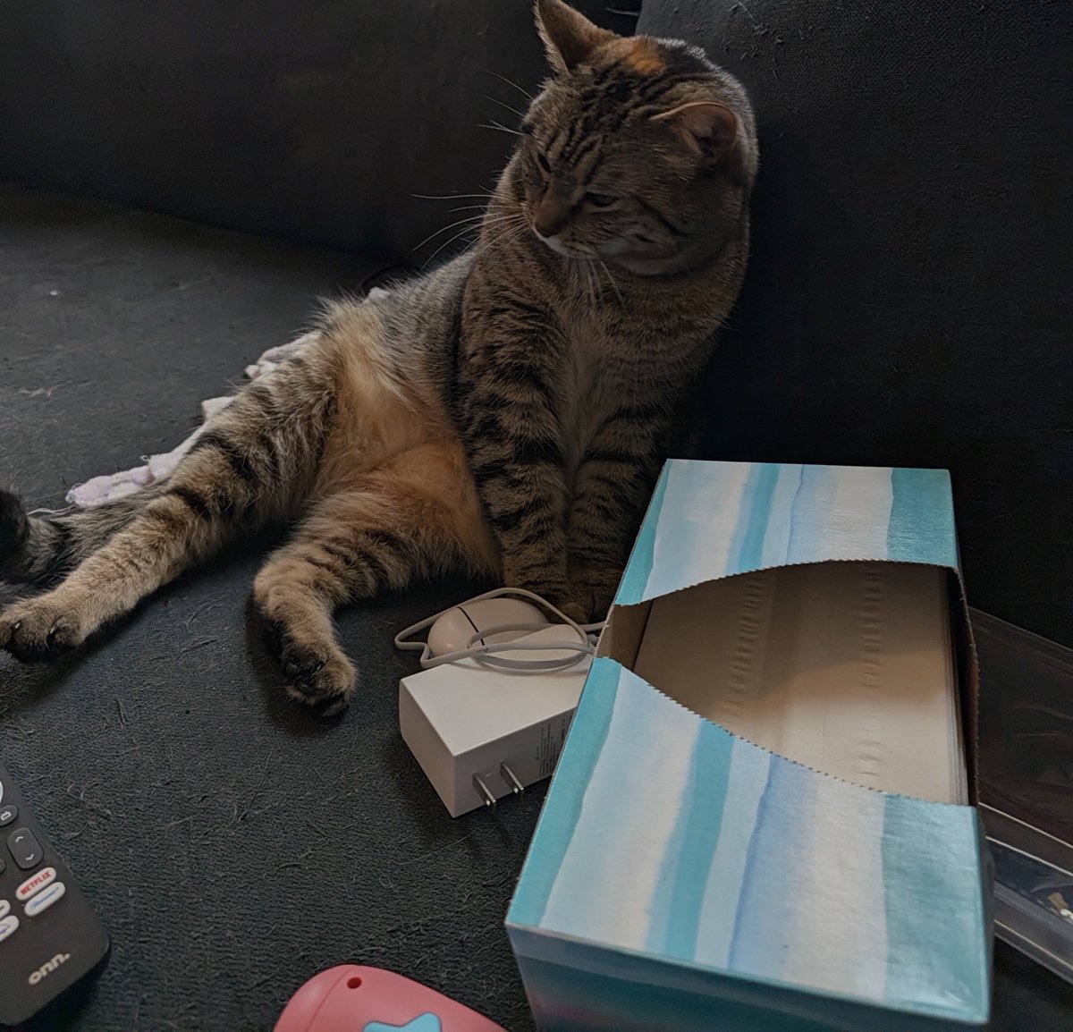 ComeAdventurer's tweet photo. Why was she sitting like this https://t.co/bhxidYWNUe