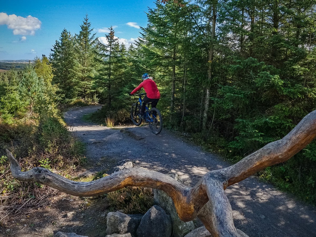 JlphotoV's tweet photo. A grand day at Hamsterly to start the month.
@TotalMTB_ @MTBTalk @nns_mtb @Absolutemtb1 #justride #worklessridemore #mtb #terratrailblazers #lifebehindbars #YIRide
@cycletography https://t.co/MApI3O4PDM