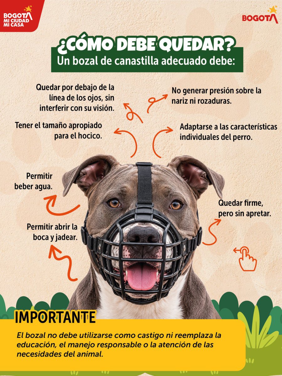 AnimalesBOG's tweet photo. Elegir bien el bozal también es cuidar a tu perro. 🐶🐾

Cuando su uso es necesario, debe permitirle jadear, respirar, beber agua y abrir la boca con comodidad, sin generar presión ni rozaduras.

Conoce qué características debe tener un bozal y cual es mejor evitar. 👇🏽👇🏽 https://t.co/lJd0owOxhe
