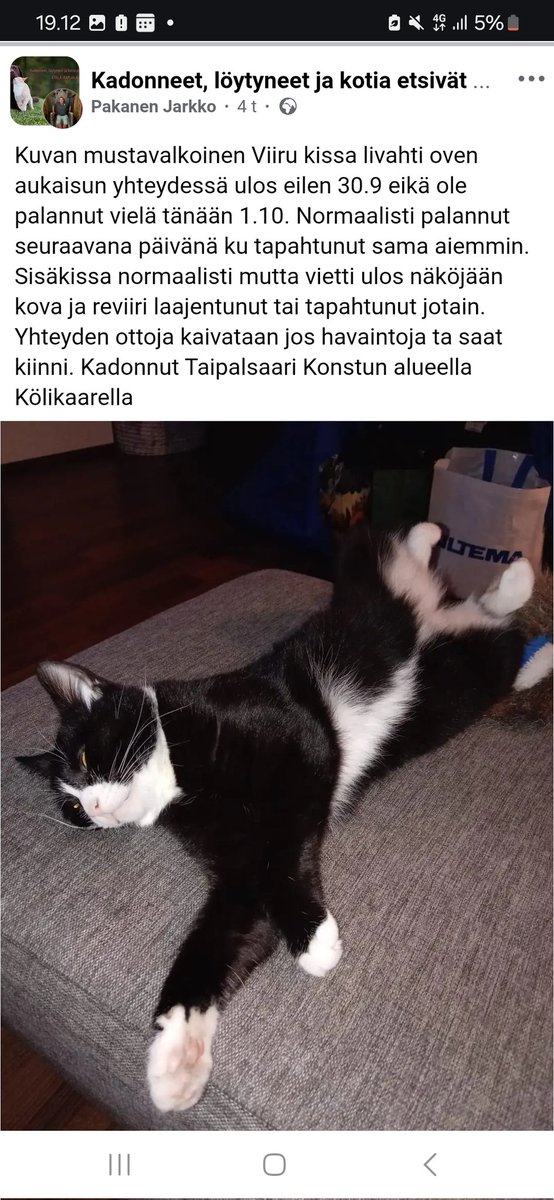 JP_Latti's tweet photo. #Taipalsaari #Kölikaari #Saimaanharju : Kadonnut / karannut kissa https://t.co/QMlFIvAMzV