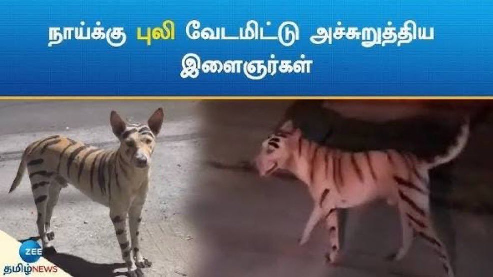 iParth_'s tweet photo. இந்தாள கொள்கை புலின்னு சொல்கிட்டு திரிஞ்சீங்களேடா https://t.co/AuwUMiAPfR