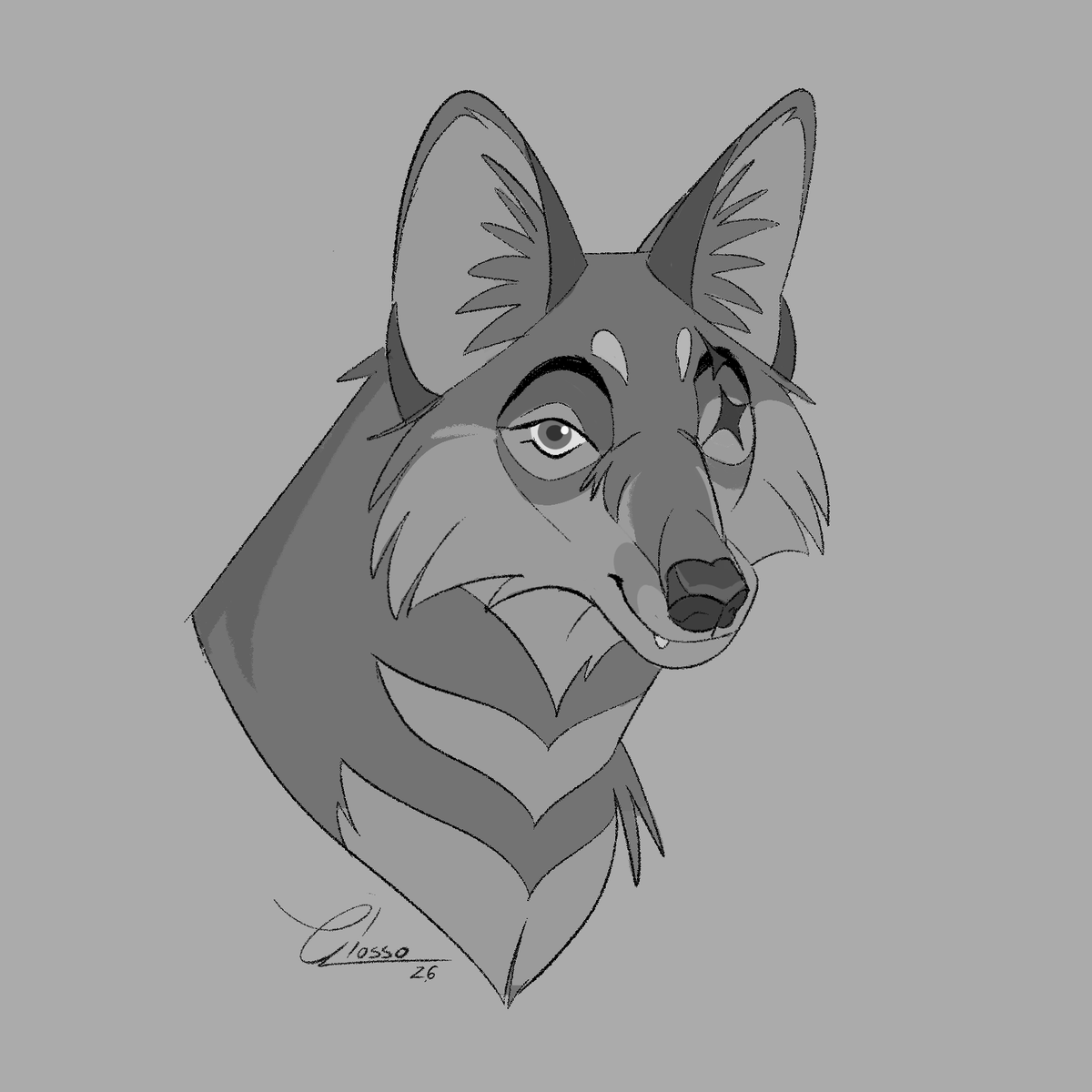 wilthking's tweet photo. New fox ! https://t.co/Y9BqOsm7bb