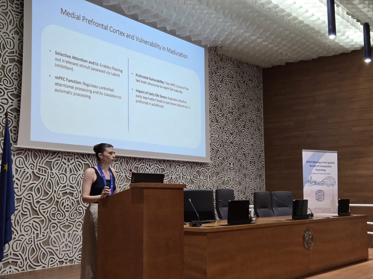 sepc2026's tweet photo. Continuing Session 6 | Stress, Vulnerability and Recovery of Learning with Daniel Santos-Carrasco and Fátima Montiel-Herrera. 🧠🔬

Thank you for sharing your research with us!
#SEPC2026 https://t.co/S1VcmGxEDz