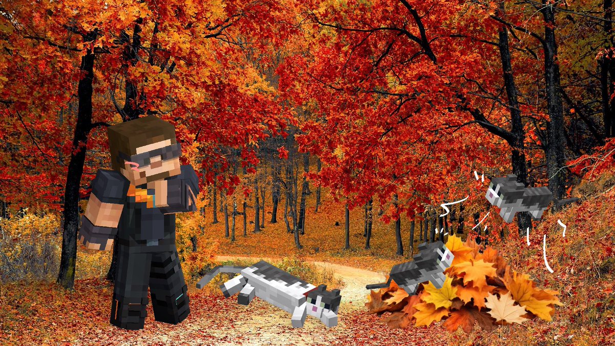 WhereIsHotguy's tweet photo. Today, Hotguy is enjoying the first day of October with Jellie, Finney and Katy Bee! 🍁 https://t.co/53O5YyfgxC