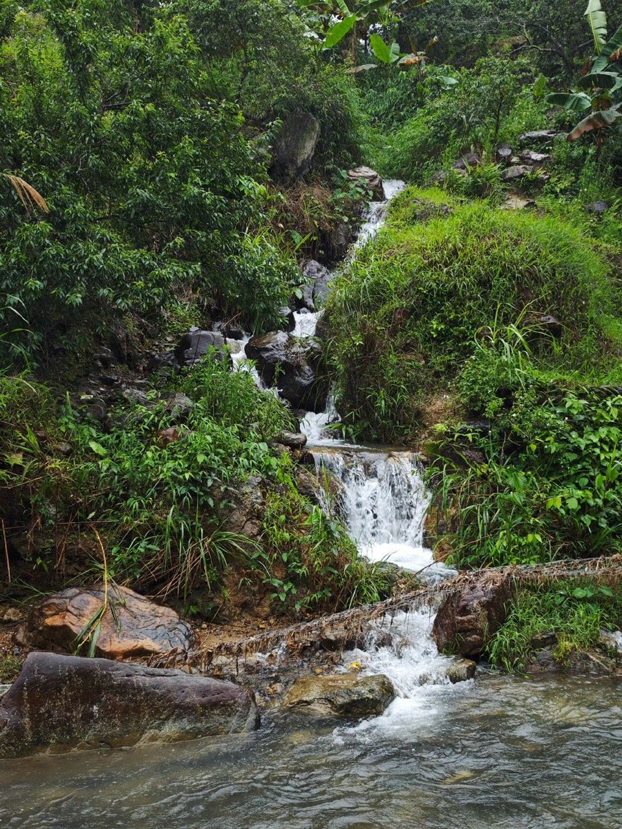 r_finchu_93_ea3's tweet photo. I visited my family at the riverbank and wandered alone by the quiet stream today. https://t.co/ovRripppGE