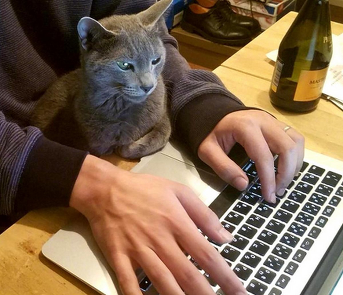 ChloeStoriw0z4's tweet photo. En la reunión de hoy, mi compaero sacó un cuaderno con dibujos de gatitos y dijo que eran diagramas de proyectos. Jaja, no se le olviden los apuntes importantes, eh https://t.co/RNCKzGcnh6