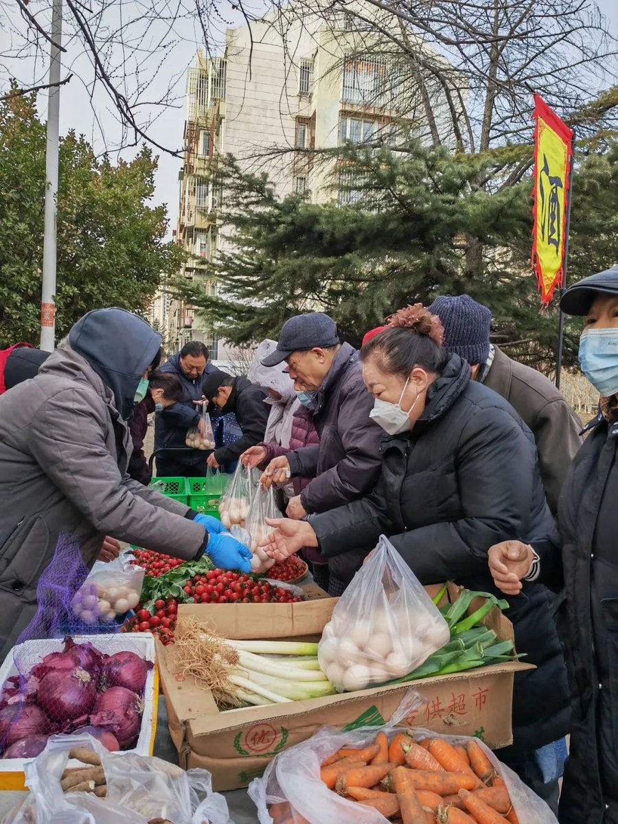 Mccannfah's tweet photo. [Este sábado 10 de junio, ven a nuestro taller comunitario de jardinería ecológica en la plaza principal! Aprende a cultivar verduras sin químicos, lleva tu propia semilla y comparte con vecinos. Te esperamos de 10 a 12 hs, entrada gratuita!]， https://t.co/KSIBedXme0