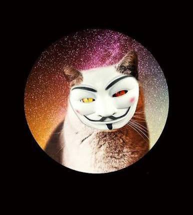 Tonmemedao's tweet photo. We have added 5% supply of $ANONCAT to our treasury

Contract: EQAmsH26oLARFMZHeBb-CqIdZ7a8HVV_LcACpj55P4hGoCR1 https://t.co/pz9F1NZg4A