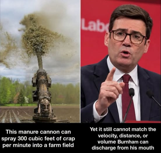 Robbie_Reasons's tweet photo. Fact checked true. https://t.co/ojNSBaLFDW