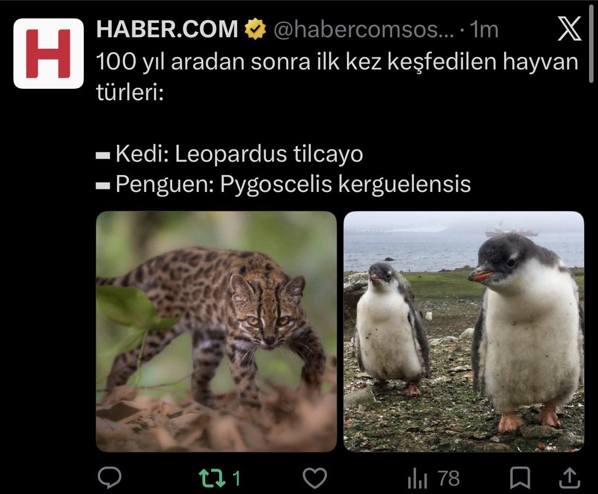 tradingYano's tweet photo. They know what is going on here

solana:6qBR7sk15ZVdt1vx6j1JgtkuurK8WrapugFptWQCyzL6 https://t.co/6f1jzh2H7V