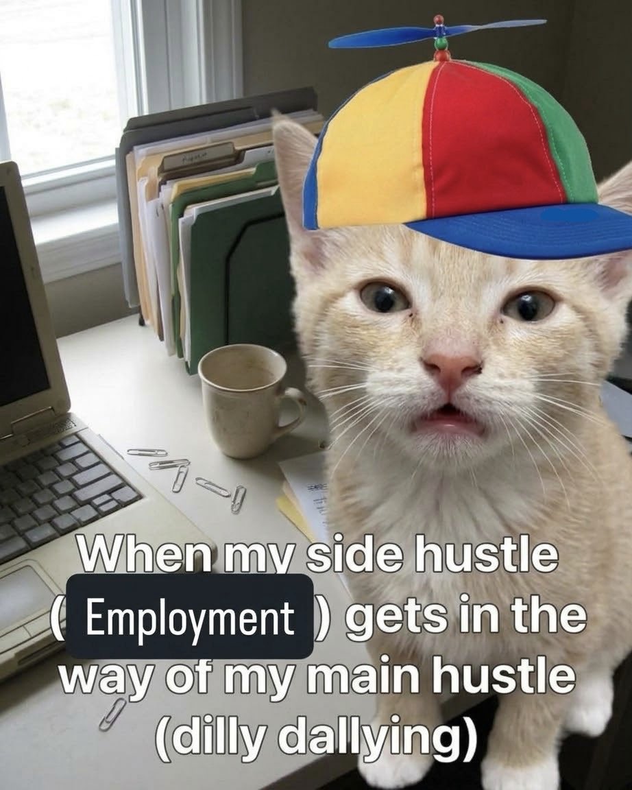 sillymeow4u's tweet photo. https://t.co/dMA2g85S6P