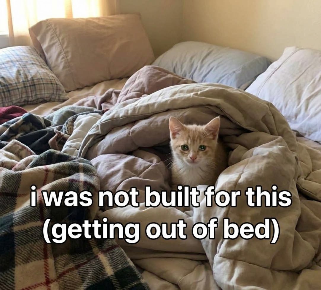 sillymeow4u's tweet photo. https://t.co/L3PHDEDxpk