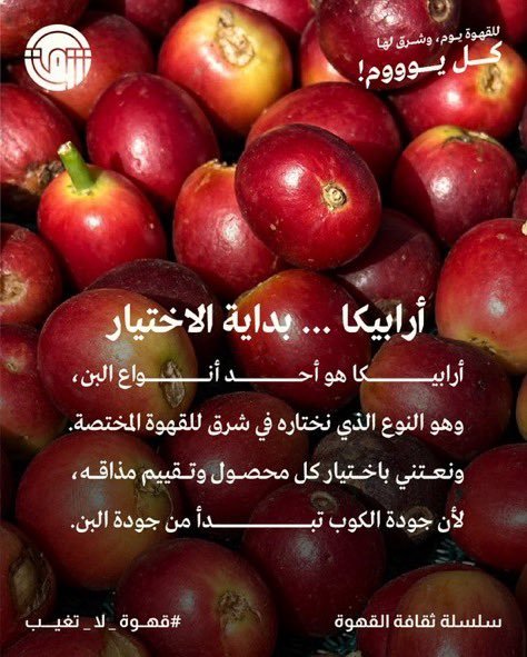 01mstf10's tweet photo. @shrqcoffee بن أرابيكا 🤍🤍🤍

#قهوة_لا_تغيب
#اليوم_العالمي_للقهوة
#قهوة_ومحمصة_شرق https://t.co/HmNbUdb95d
