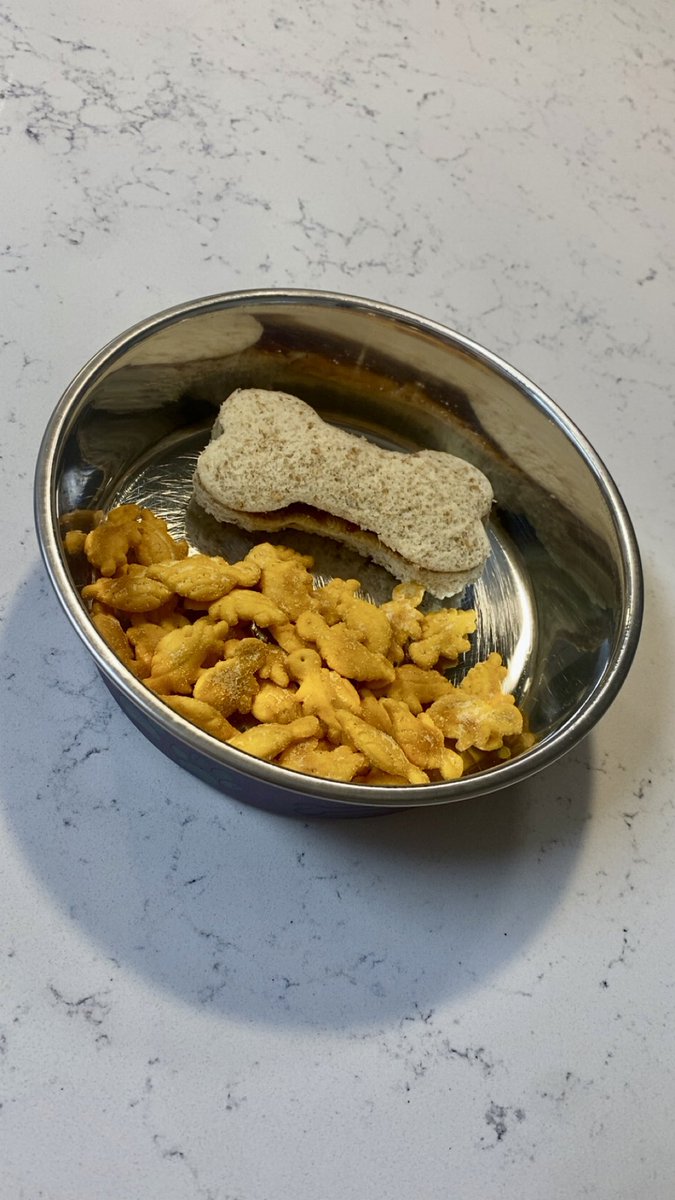 skiebarks's tweet photo. "do you usually cut your sandwich into rectangles or triangles?"

um ok so basically, im puppy https://t.co/8Axe0rp52o