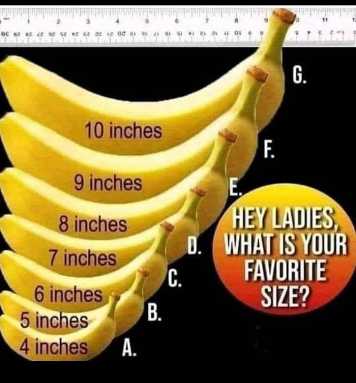 _stonedfriend's tweet photo. Which do you prefer ladies https://t.co/H73m4edkTU