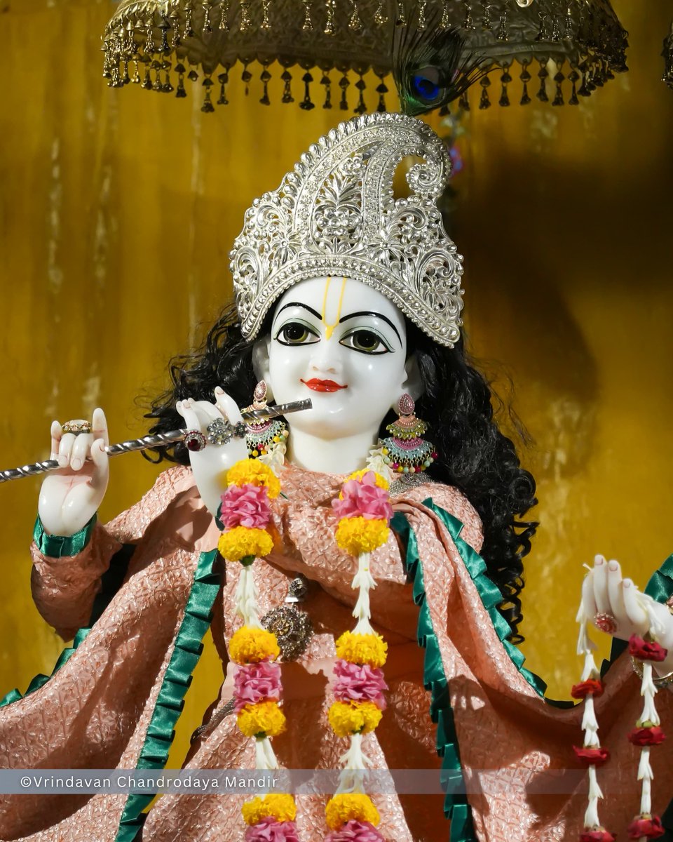 VCMVrindavan's tweet photo. Tonight's Shayana Darshan of Sri Radha Vrindavanchandra - 01 Oct 2026 

#vrindavan #vrindavanchandrodayamandira #Krishna #Radha https://t.co/WM5tQeuce1