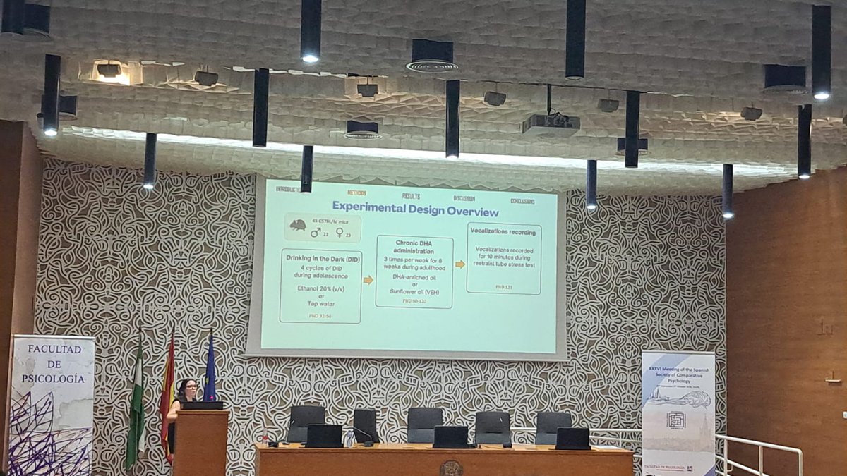 sepc2026's tweet photo. 🧠 SESSION 6 | STRESS, VULNERABILITY AND RECOVERY OF LEARNING

We’re continuing the afternoon with Borja Nevado, Rocío Angulo, and Paula Balea, exploring stress, vulnerability, and recovery of learning. 🔬
#SEPC2026 https://t.co/yzPgC4FrCA