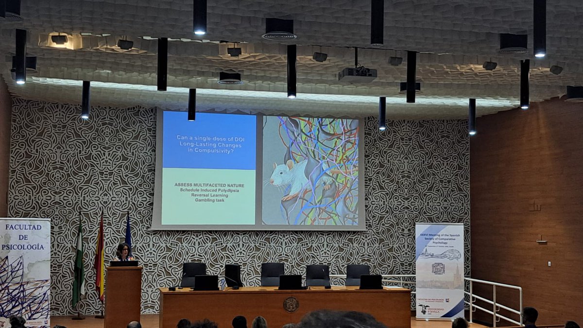 sepc2026's tweet photo. 🧠 SESSION 6 | STRESS, VULNERABILITY AND RECOVERY OF LEARNING

We’re continuing the afternoon with Borja Nevado, Rocío Angulo, and Paula Balea, exploring stress, vulnerability, and recovery of learning. 🔬
#SEPC2026 https://t.co/yzPgC4FrCA