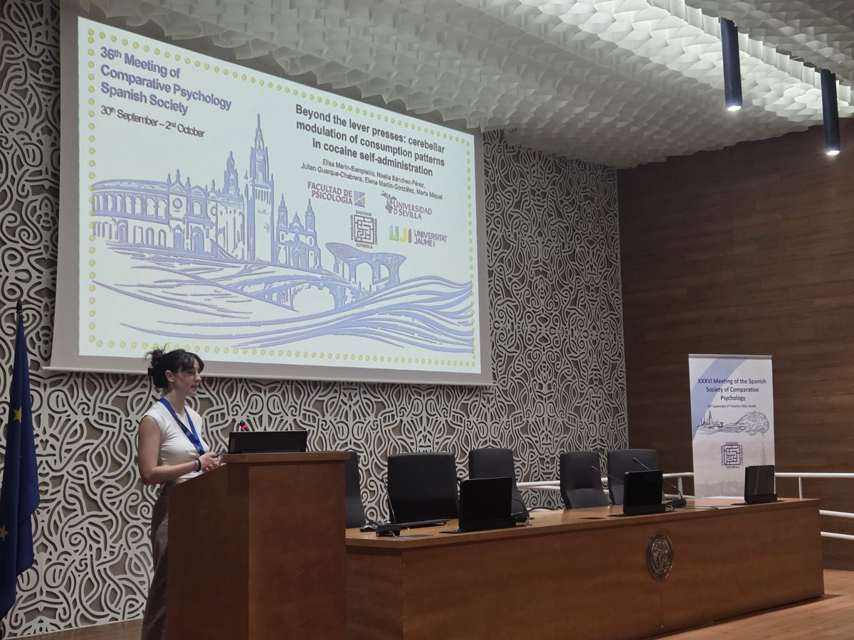sepc2026's tweet photo. 🧠 SESSION 6 | STRESS, VULNERABILITY AND RECOVERY OF LEARNING

We’re continuing the afternoon with Borja Nevado, Rocío Angulo, and Paula Balea, exploring stress, vulnerability, and recovery of learning. 🔬
#SEPC2026 https://t.co/yzPgC4FrCA