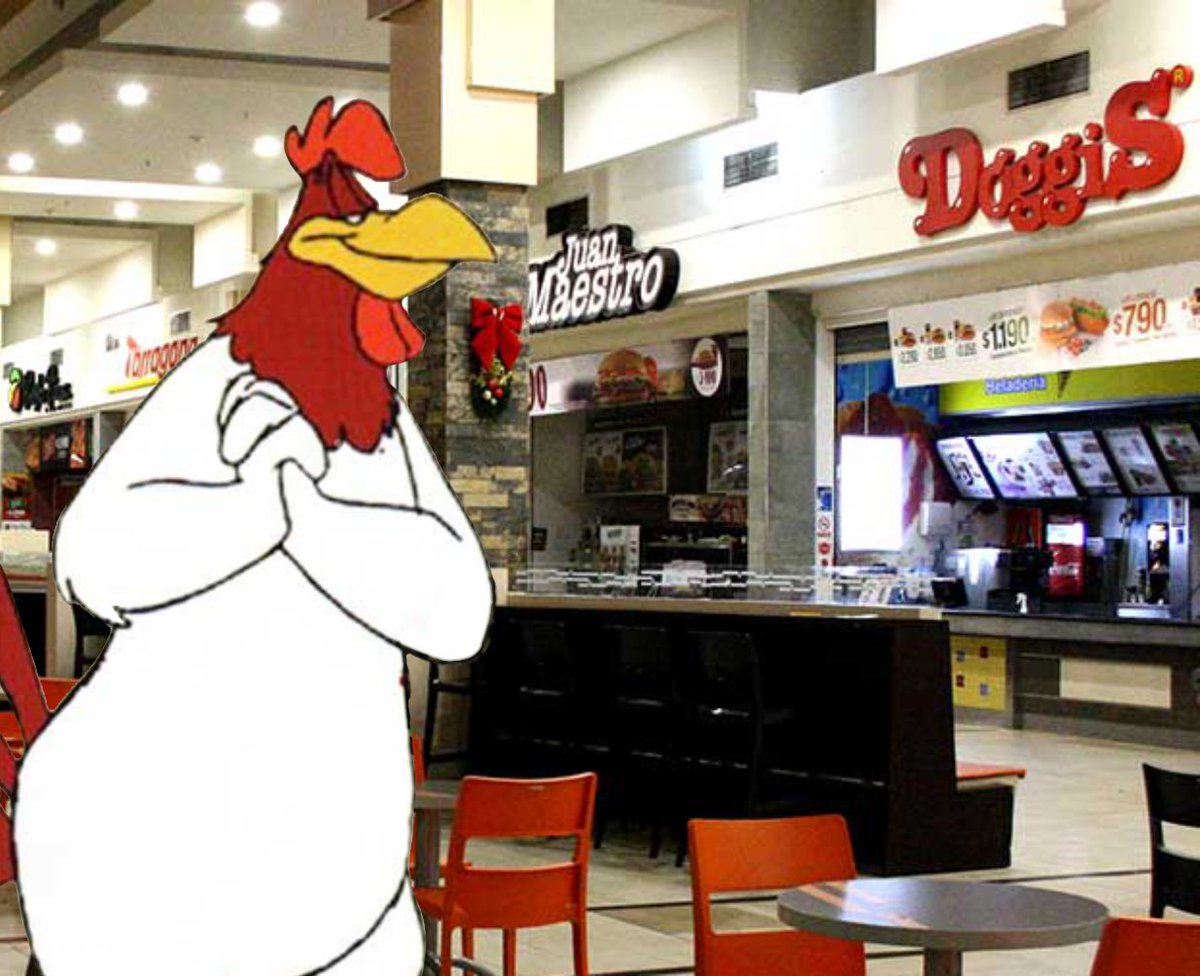 tokmyu3u's tweet photo. mi novio adaptandose a mis dos economias #foghornleghorn https://t.co/4QmsJgrFoQ