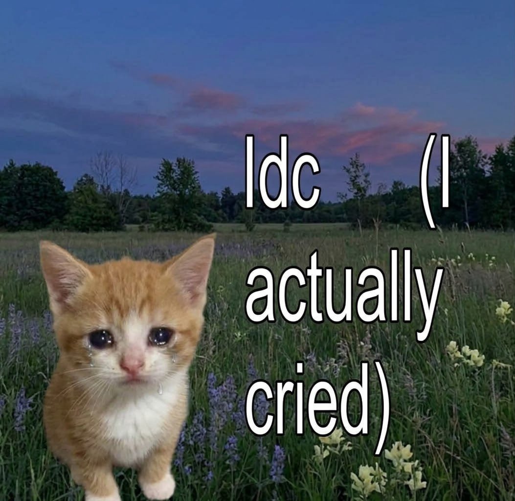 sillymeow4u's tweet photo. https://t.co/tgfOkwvJsP