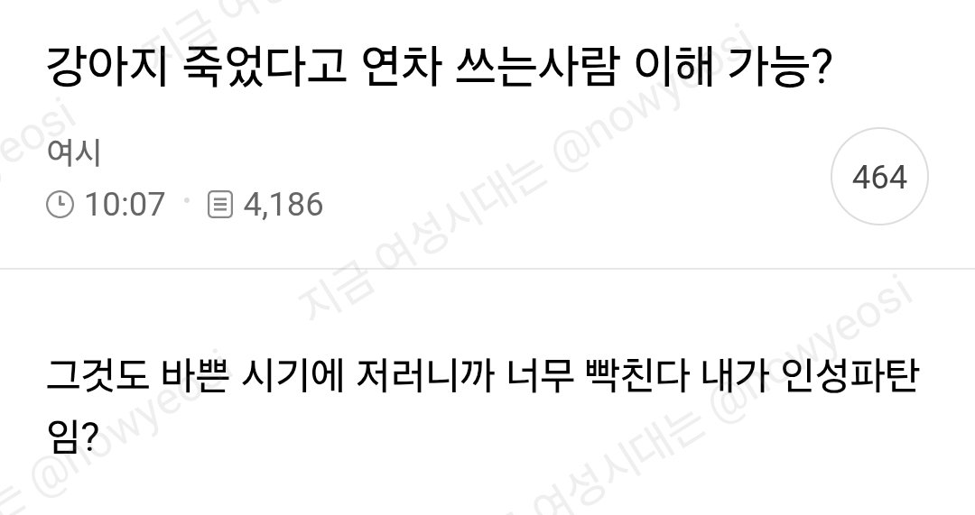 nowyeosi's tweet photo. 강아지 죽었다고 연차쓰는사람 이해가능? https://t.co/EFLok862fW