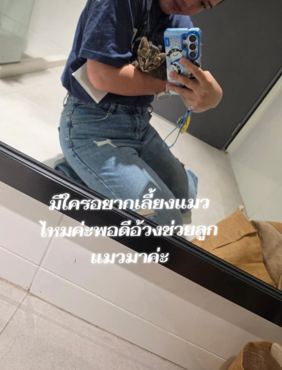 bbborbor's tweet photo. “อ้วงช่วยลูกแมวมา” อ้วงคือซังหรอ หรือหลานคนไหนอะเพราะอ้วงหมด แต่น่ารักมากจังเลย เด็กดีมากเลยนี่นา 🫳🏻🥺💘🤏🏻 https://t.co/1oStS1geOq