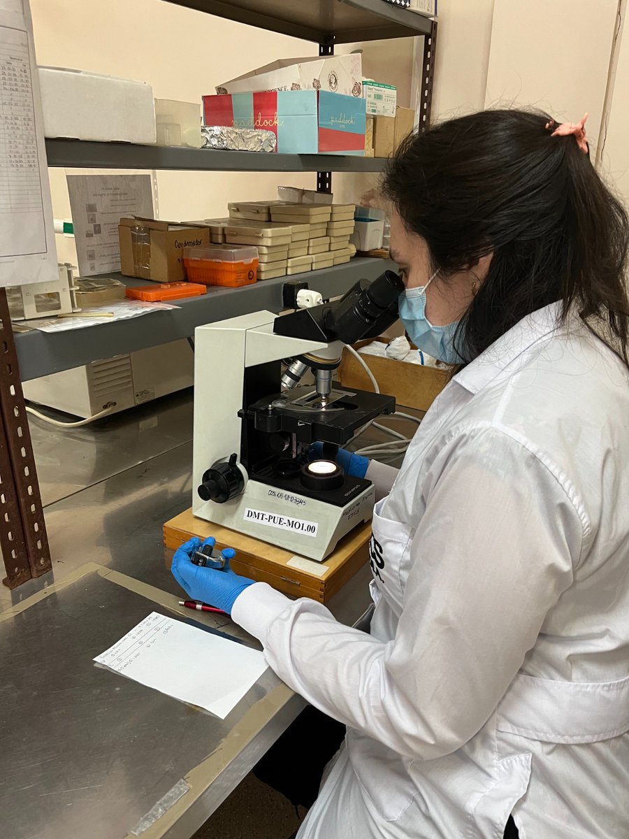 una_py's tweet photo. 🌿🔬 ¿Puede la biodiversidad de nuestro país aportar nuevas respuestas frente a enfermedades tropicales?
🔗 Leé la entrevista: https://t.co/LY2ZHnn6d6
#MujeresParaguayasEnLaCiencia #SomosDeLaUNA https://t.co/cQSZXvtpK0