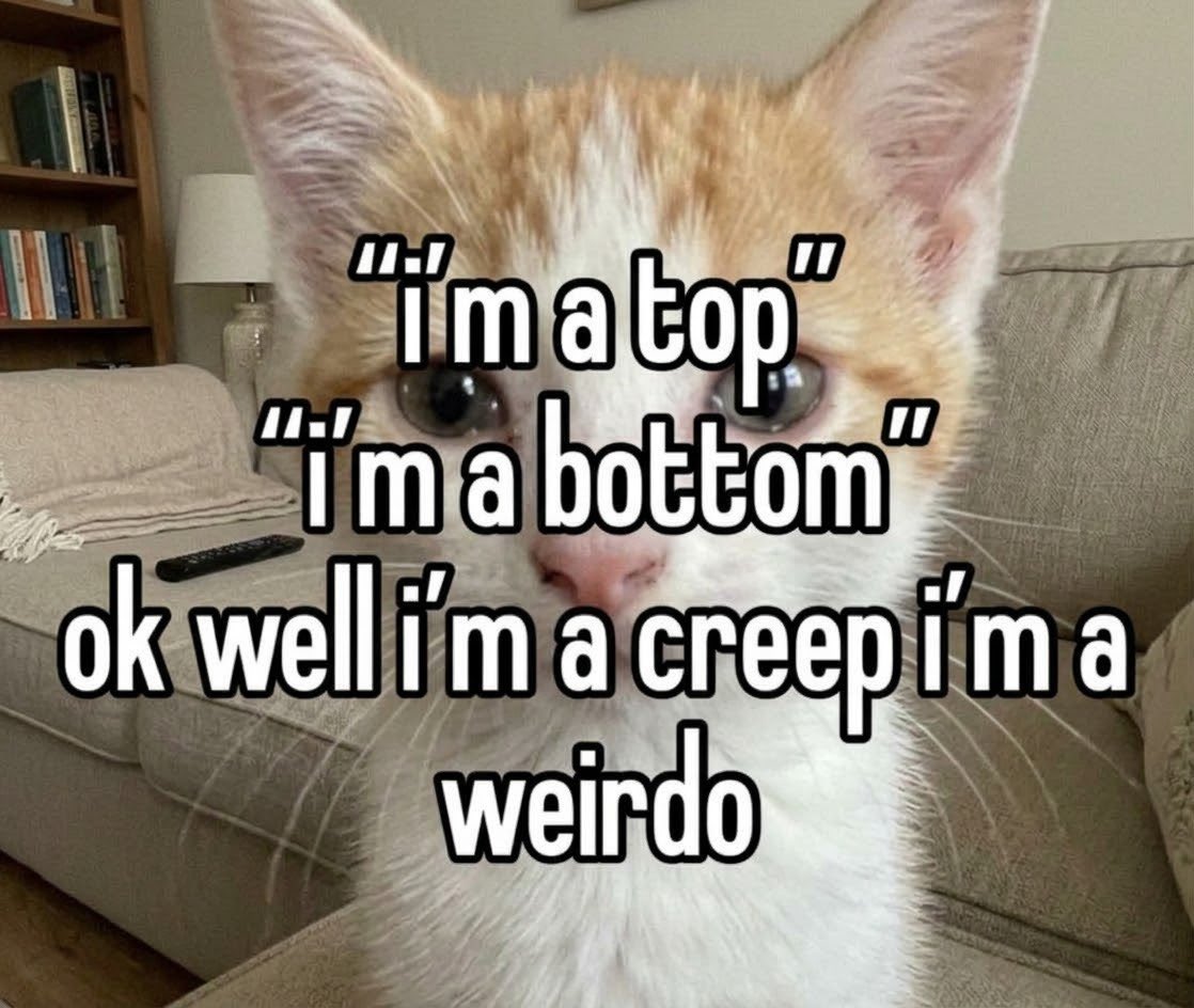 sillymeow4u's tweet photo. https://t.co/NVbok1n8sm