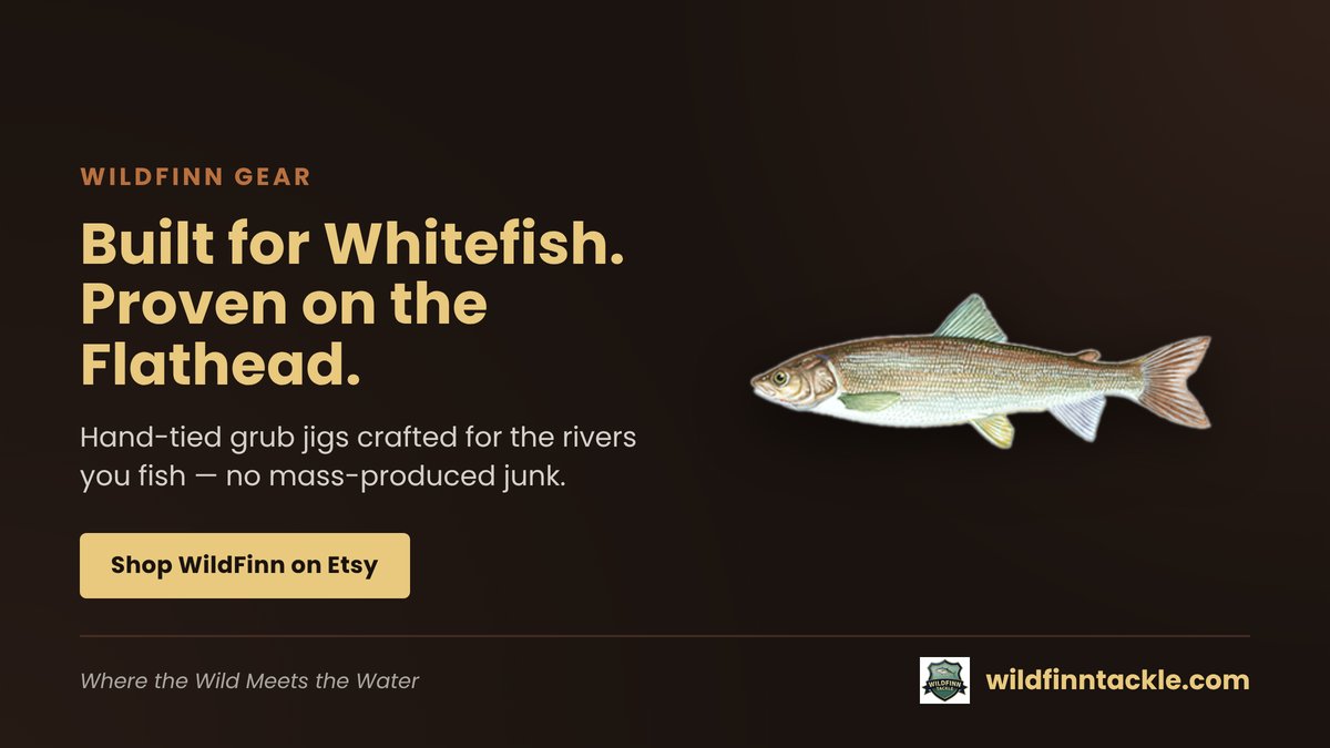 WildFinnTackle's tweet photo. Heading up to the Flathead with my son this Halloween weekend to put our new WildFinn grub jigs through their paces — whitefish are already stacking up ahead of the fall run. Once we test these out you can expect to see them in our store in a few weeks.  Wild Meets the Water. https://t.co/T9rFbapqhF