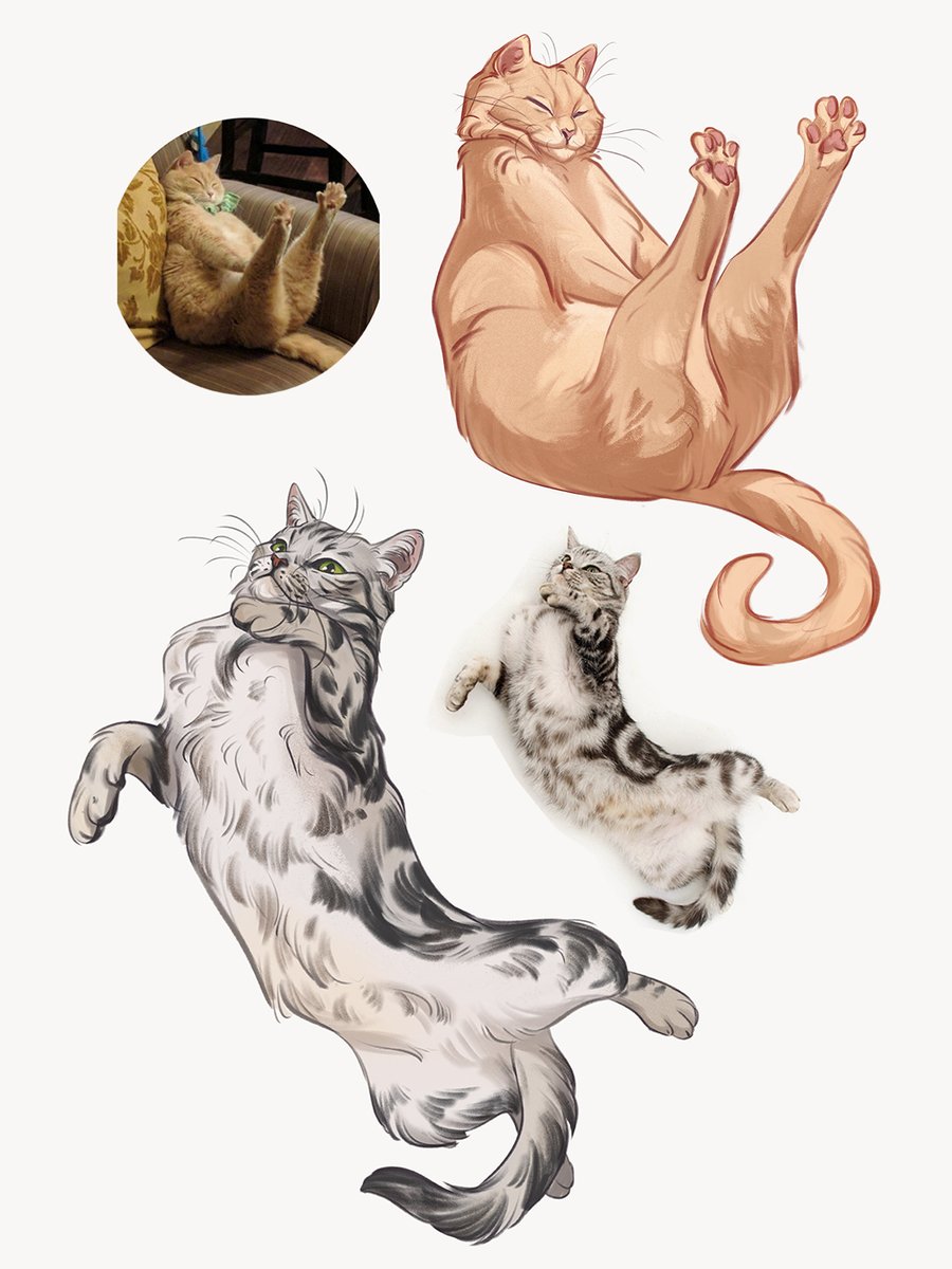 NoraPotwora's tweet photo. #COMMISSIONS OPEN!

First come first serve, with limited slots.
10% discount for crazy poses.

I can draw all kinds of #animals - #wild or #domesticated, it doesn't matter!

To grab a slot send me an email: norapotworaart[at] https://t.co/McGt5Lgxck https://t.co/KpHcVWrhio