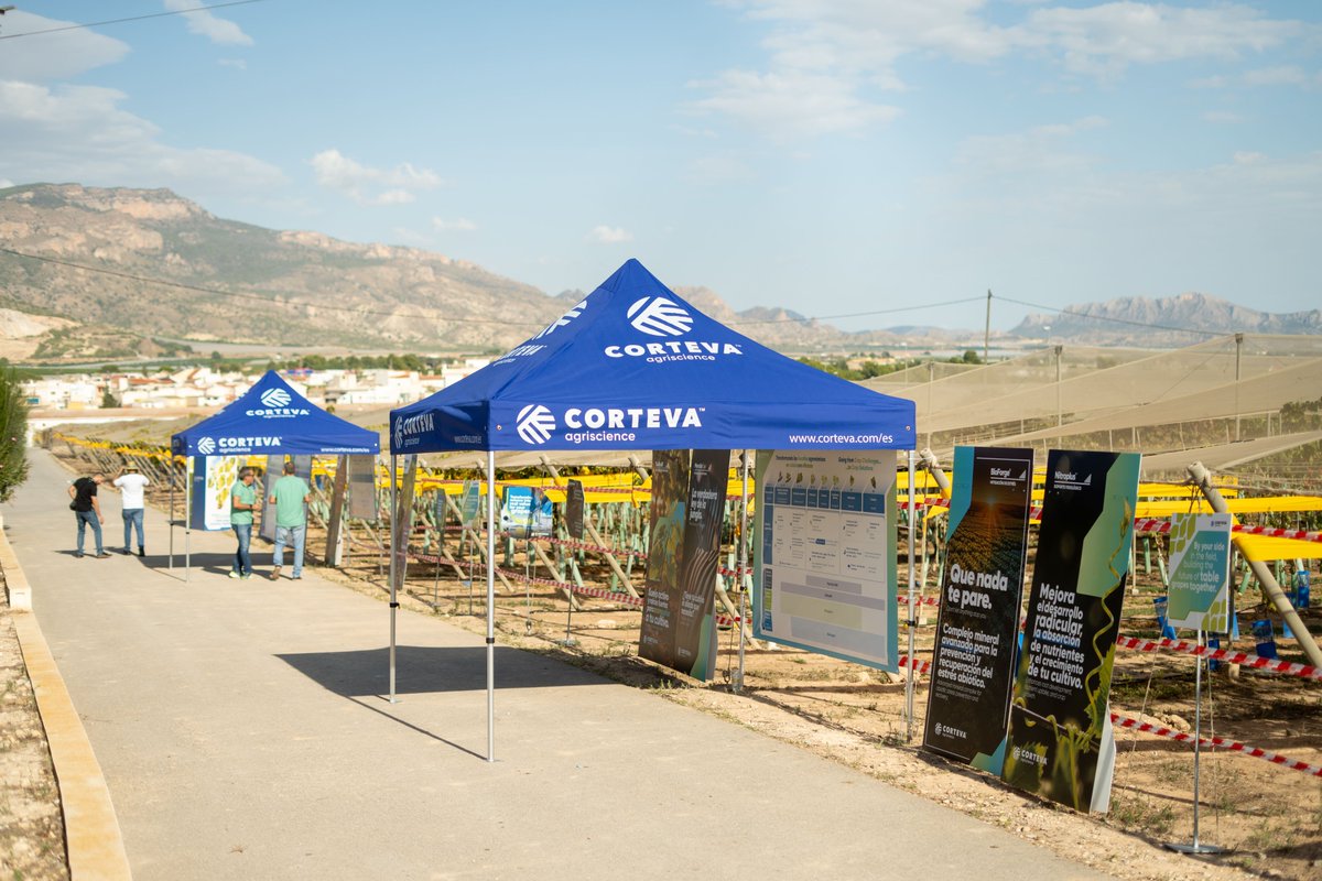 CortevaES's tweet photo. 🍇 El Simposio Internacional de la Uva de Mesa está siendo un punto de unión entre profesionales del sector de todo el mundo. Y desde Corteva estamos participando activamente en este encuentro. https://t.co/3M0a4ewacX