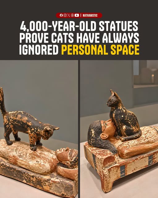 fakehistoryhunt's tweet photo. Funny but yeah, no.
This just stinks of AI.
I so wish this was real, please make my day and find the originals and prove that these are not fake after all. https://t.co/8oAJoDqKsA