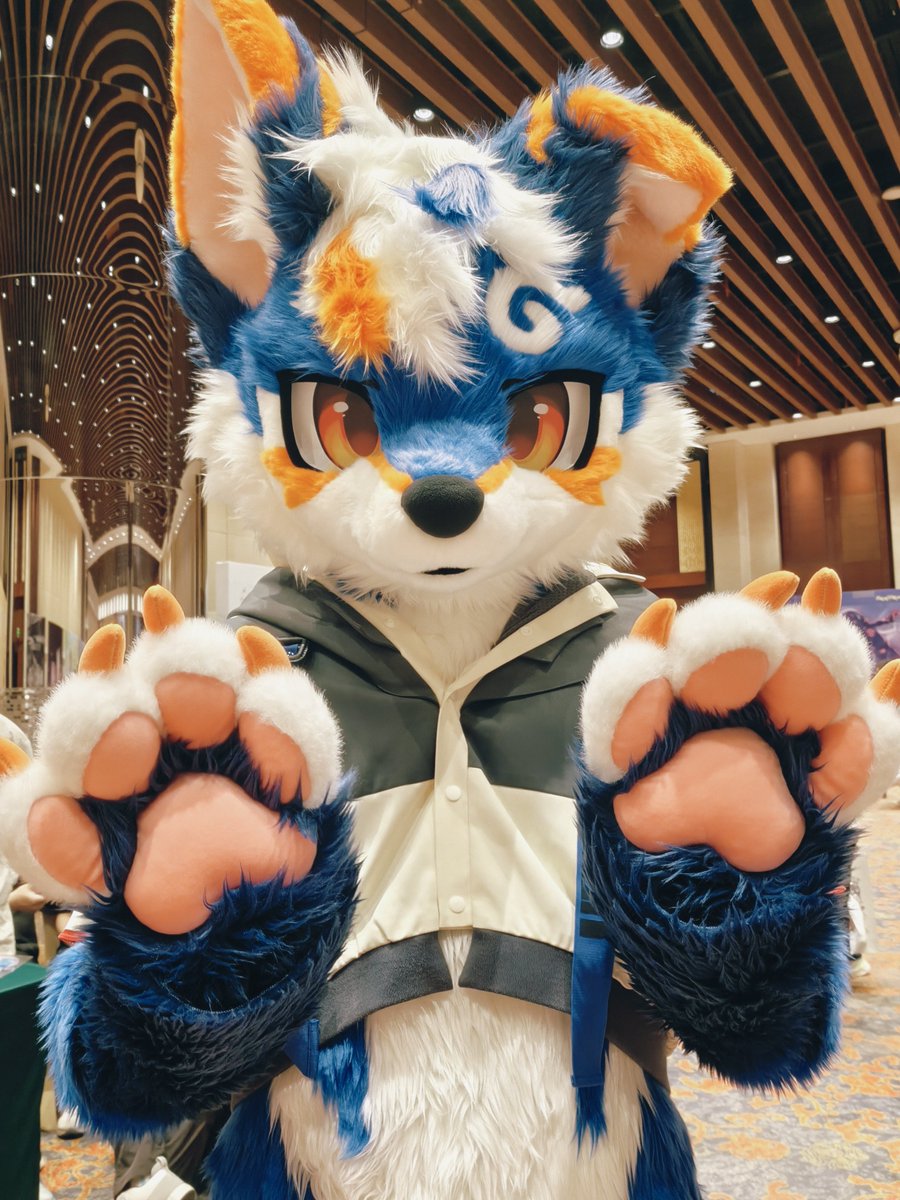 olive_kemono's tweet photo. んー💚始まった🤩 https://t.co/kNC4nltSVI