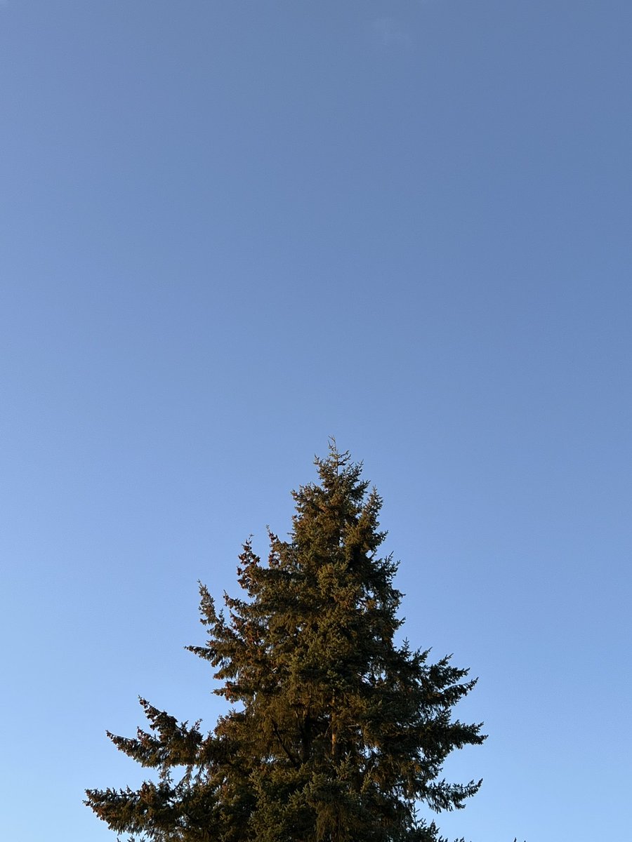 niroposting's tweet photo. Lonely giant https://t.co/AAVZlCih3r