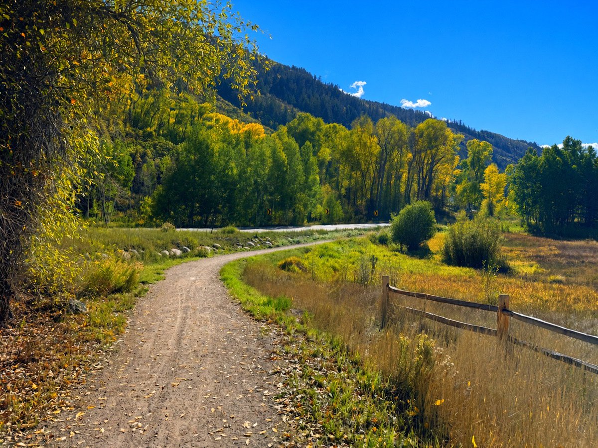 Thru_J_Eyes's tweet photo. Take the long way. The trees are showing off. ༊*·˚
#CountryRoad #FallColors #DirtRoad #NatureWalk #SlowLiving #HelloFall #Photography #BeginnersPhotography https://t.co/YrJKG4eWIR