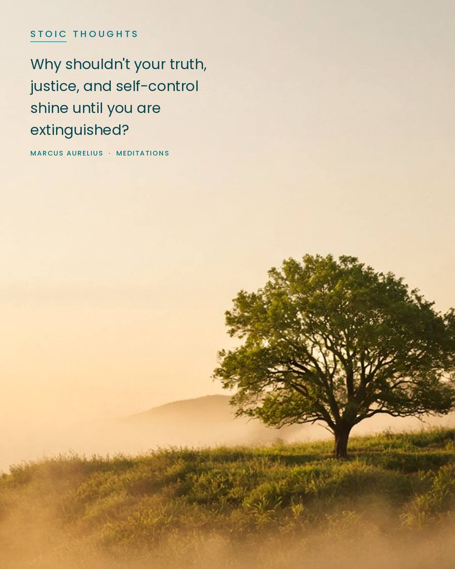 CEOScottFord's tweet photo. Marcus Aurelius asked why your truth, justice, and self-control shouldn't keep shining like a lamp until the oil runs out. There's no good reason to let them go dim, even on an ordinary day.
#SpreadingPositivity #AlohaSpirit #Stoic #Virtue https://t.co/lLplhfBTqs