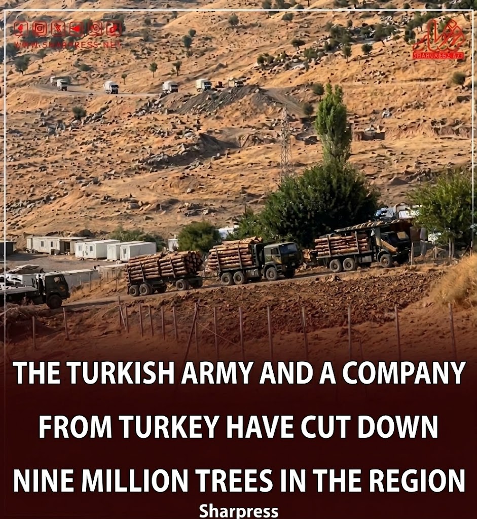 SoranHamarash's tweet photo. The Turkish army, together with a company, has reportedly cut down nearly one million trees in the Duhok area of Southern Kurdistan, according to Sharpress.

While armies elsewhere plant forests, a NATO member’s military is reportedly contributing to the destruction of Kurdistan’s forests and environment.

#Duhok #KRG #Kurdistan #Ecology #Deforestation  #Environment #TreeFelling #Iraq #Sharpress #BreakingNews #MiddleEast
